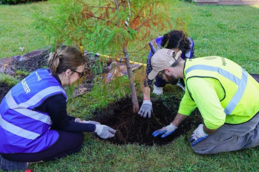 Tree Planting at Dearborn Homes